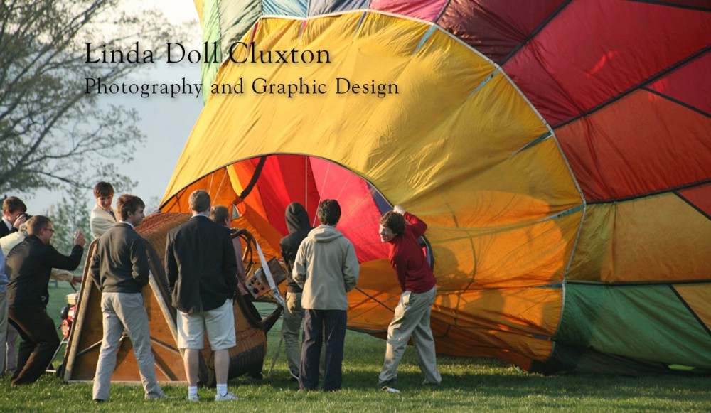 Cluxton Photography & Design