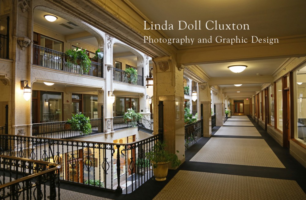 Cluxton Photography & Design