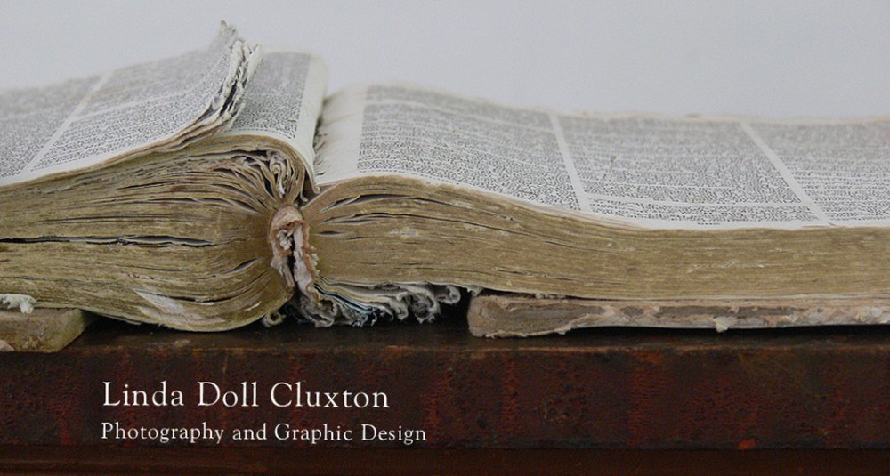 Cluxton Photography & Design